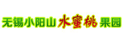 无锡水蜜桃果苗
