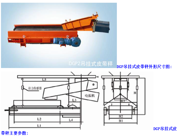 dgp吊挂式皮带秤