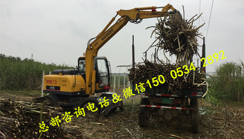 抓木机,宝鼎抓木机,轮式抓木机,抓装机