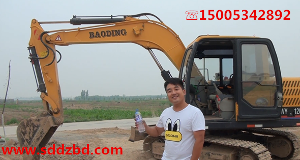 宝鼎挖掘机抓木机用户见证