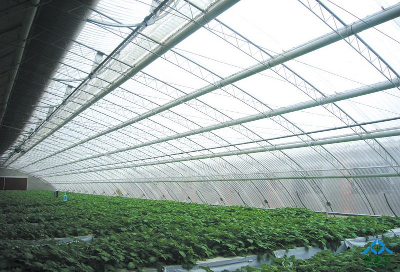 温室骨架加工—分布式光伏并网