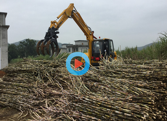 輪式挖掘機(jī)抓甘蔗圖