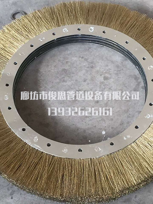 清管器 清管器