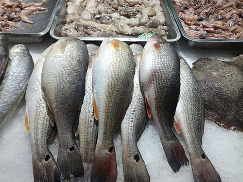 批发市场 批发市场