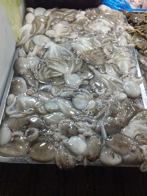 摊位租赁 摊位租赁