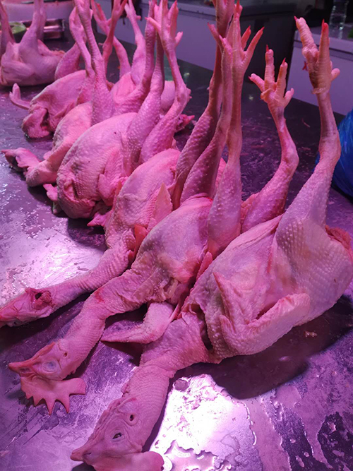 肉类批发 肉类批发