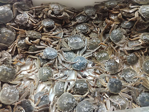 摊位租赁 摊位租赁