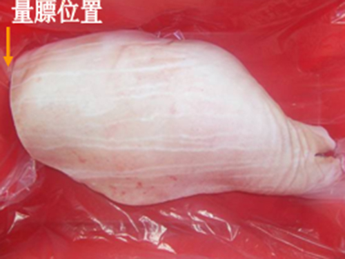 白条 白条