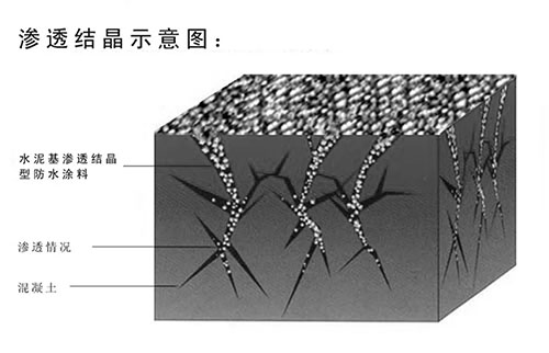 水泥基渗透结晶防水涂料 水泥基渗透结晶防水涂料