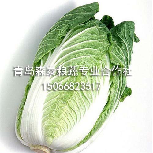 现货白菜大葱 现货白菜大葱