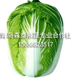 现货白菜大葱 现货白菜大葱