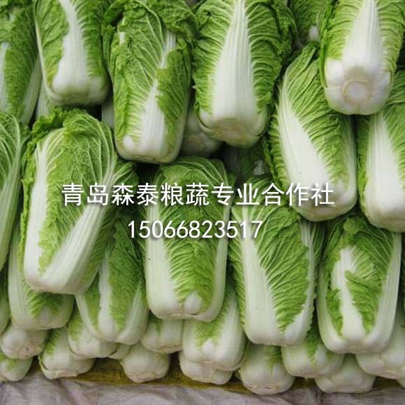 现货白菜大葱 现货白菜大葱