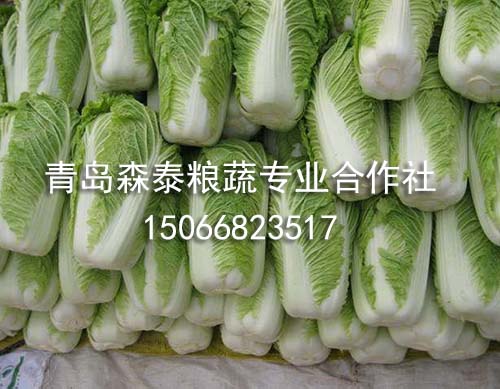 现货白菜大葱 现货白菜大葱