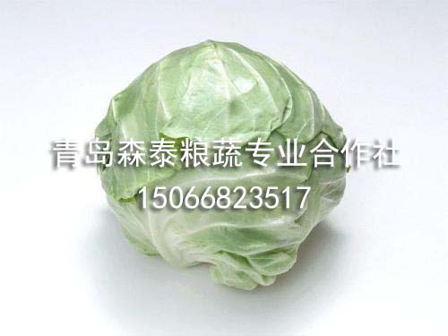 圆球甘蓝 圆球甘蓝