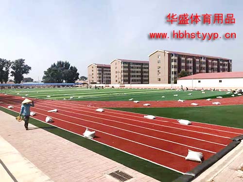足球场草坪 足球场草坪