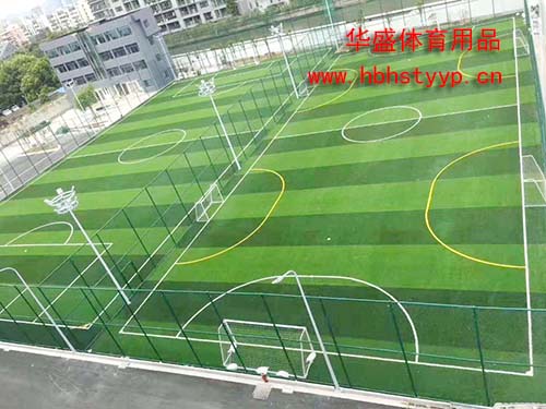 足球场草坪 足球场草坪