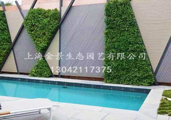 绿植景墙 绿植景墙