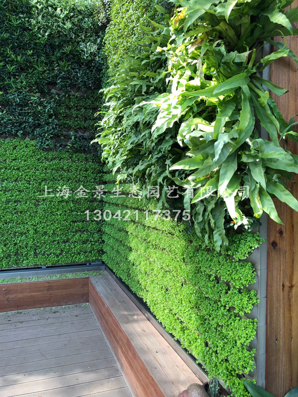 植物墙工程 植物墙工程
