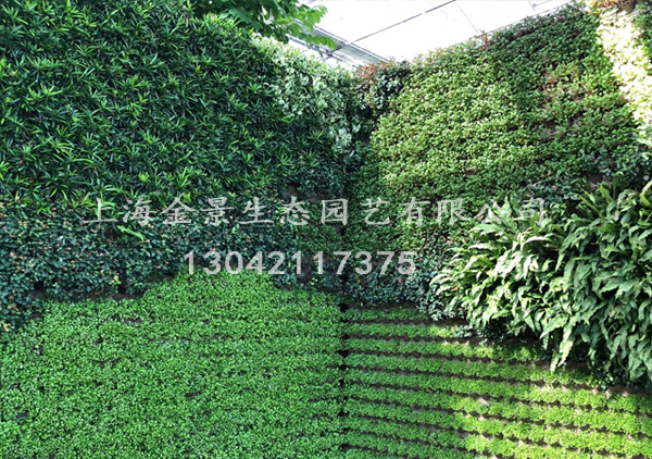 无土栽培工程 无土栽培工程