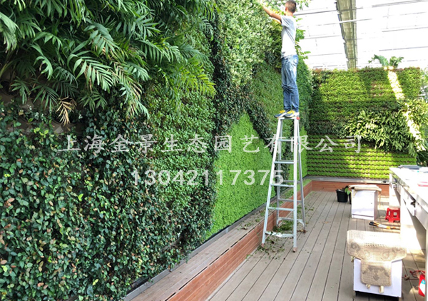 植物造型景墙 植物造型景墙