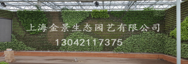 家庭花卉无土栽培 家庭花卉无土栽培