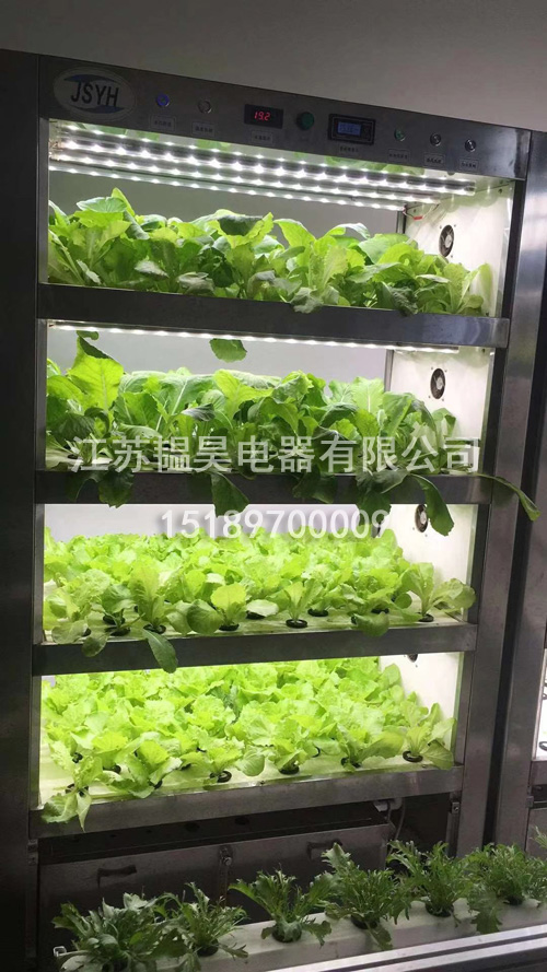 水培种植机厂家