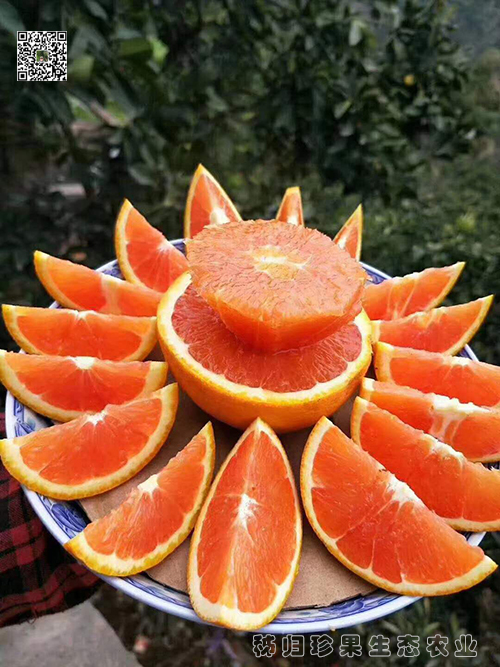红心橙