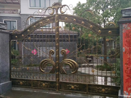 铁艺大门 铁艺大门