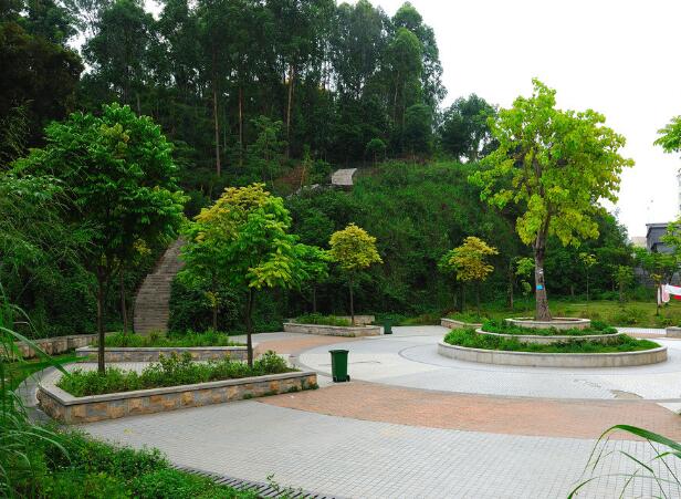 市政公园绿化