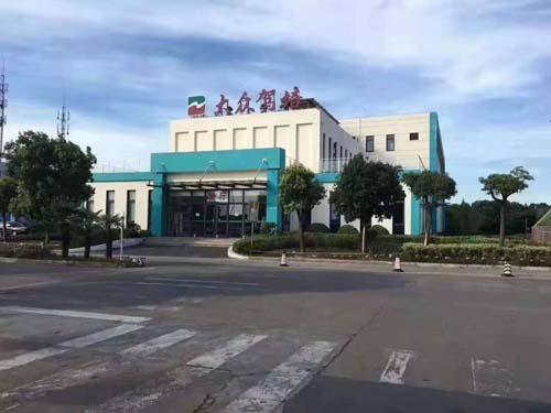 驾校培训