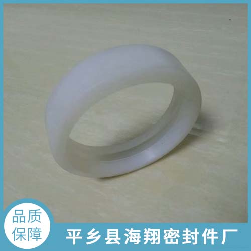 活塞杆密封件