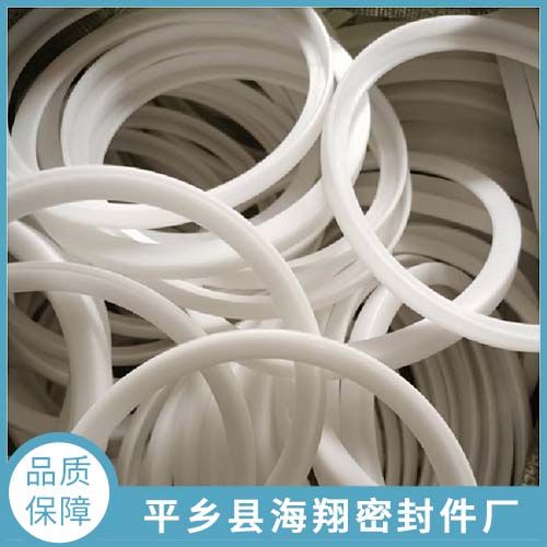 导向环