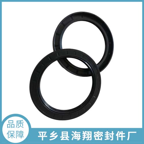 TG4骨架油封