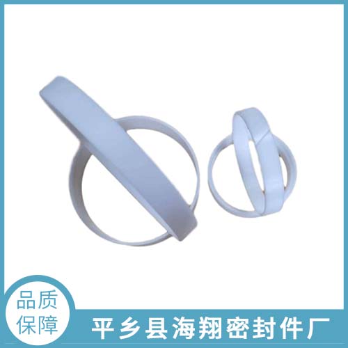 导向环
