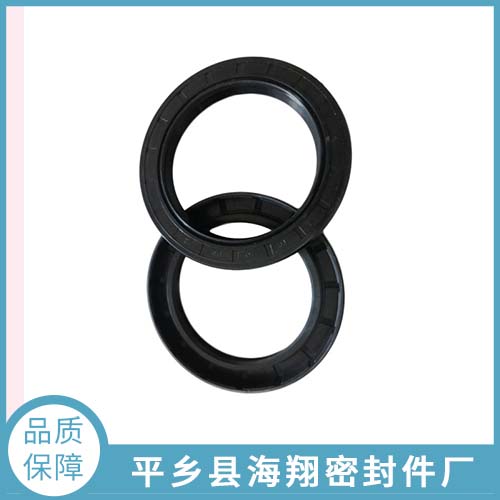 TG4骨架油封