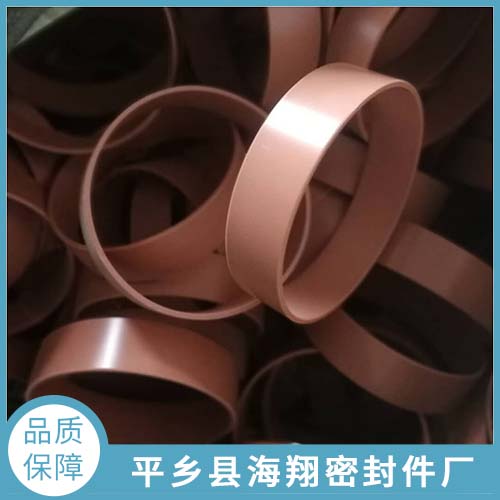 导向环