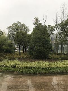 陵园风光