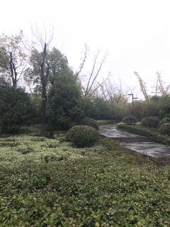 陵园风光