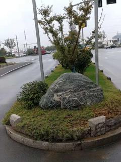 陵园风光