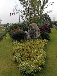 陵园风光