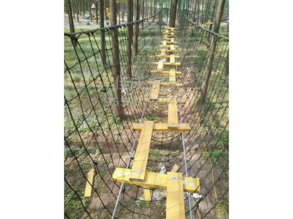 福建枕头山景区网红趣桥