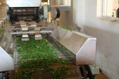 茶葉清洗機