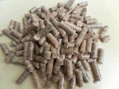 顆粒燃料