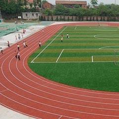 足球場運動地坪