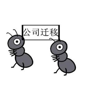 公司注銷