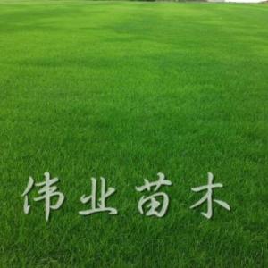 混播