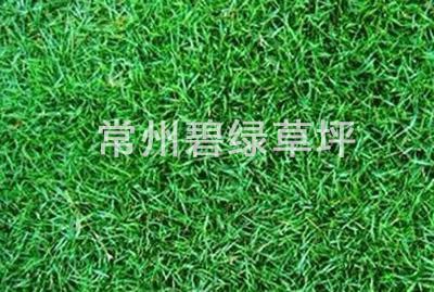馬尼拉