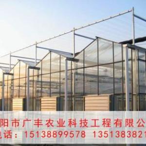 日光玻璃蔬菜大棚