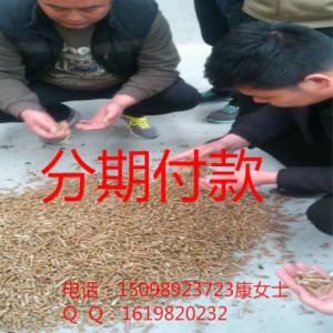 東北秸稈顆粒機(jī) 牧草顆粒機(jī) 秸稈飼料顆粒機(jī) 恒美百特分期付款
