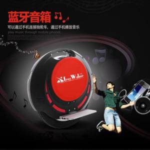 Free Walker自由行電動獨輪車T11